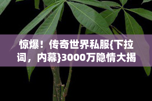 3000万隐情大揭秘图片