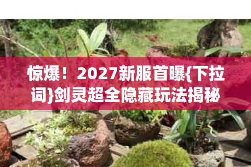 剑灵超全隐藏玩法揭秘图片