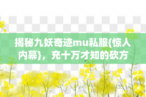 揭秘九妖奇迹mu私服图片