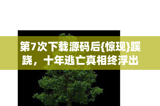 第7次下载源码后{惊现}蹊跷，十年逃亡真相终浮出