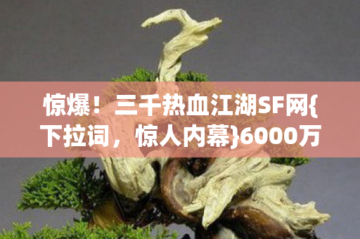 三千热血江湖SF网图片