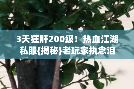 3天狂肝200级图片