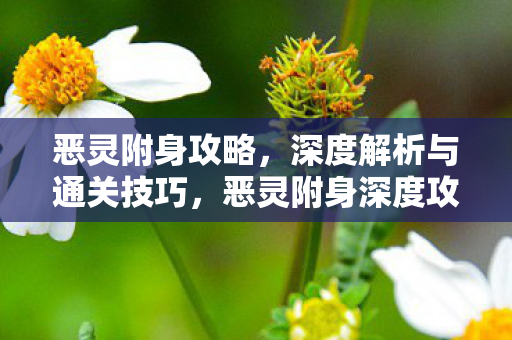 恶灵附身攻略,深度解析与通关技巧,恶灵附身深度攻略,解析与通关技巧全掌握 恶灵附身攻略,深度解析与通关技巧,恶灵附身深度攻略,解析与通关技巧全掌握