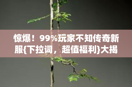 惊爆!99%玩家不知传奇新服{下拉词,超值福利}大揭秘 惊爆!99%玩家不知传奇新服{下拉词,超值福利}大揭秘