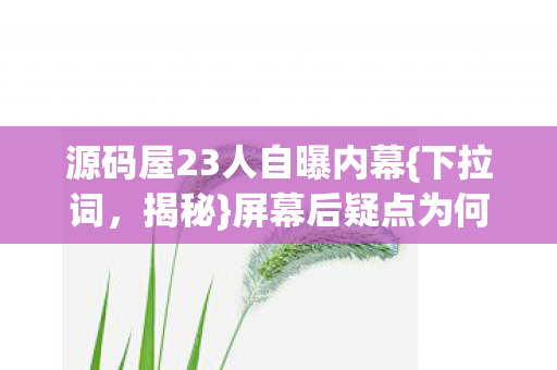 源码屋23人自曝内幕{下拉词,揭秘}屏幕后疑点为何难绷住 源码屋23人自曝内幕{下拉词,揭秘}屏幕后疑点为何难绷住
