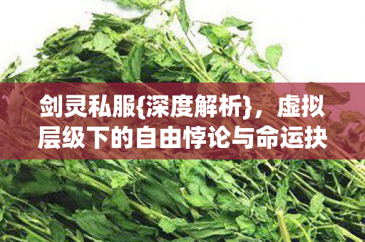 虚拟层级下的自由悖论与命运抉择图片