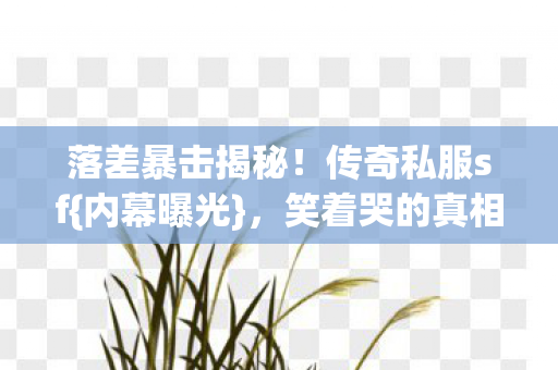 落差暴击揭秘!传奇私服sf{内幕曝光},笑着哭的真相 落差暴击揭秘!传奇私服sf{内幕曝光},笑着哭的真相