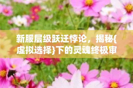 新服层级跃迁悖论图片