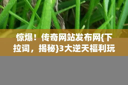 惊爆！传奇网站发布网{下拉词，揭秘}3大逆天福利玩法
