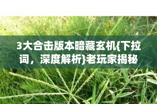 3大合击版本暗藏玄机{下拉词,深度解析}老玩家揭秘新服真相 3大合击版本暗藏玄机{下拉词,深度解析}老玩家揭秘新服真相