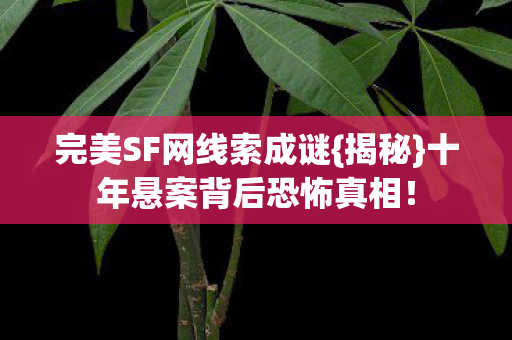 十年悬案背后恐怖真相图片