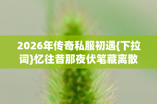 2026年传奇私服初遇{下拉词}忆往昔那夜伏笔藏离散