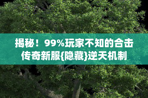 揭秘！99%玩家不知的合击传奇新服{隐藏}逆天机制