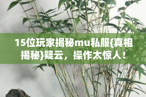15位玩家揭秘mu私服图片