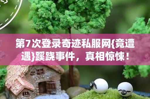 第7次登录奇迹私服网图片