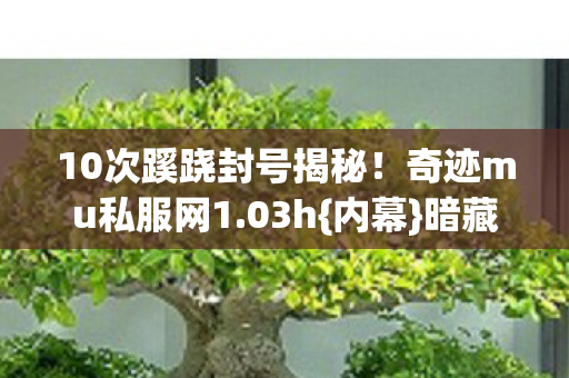 10次蹊跷封号揭秘图片