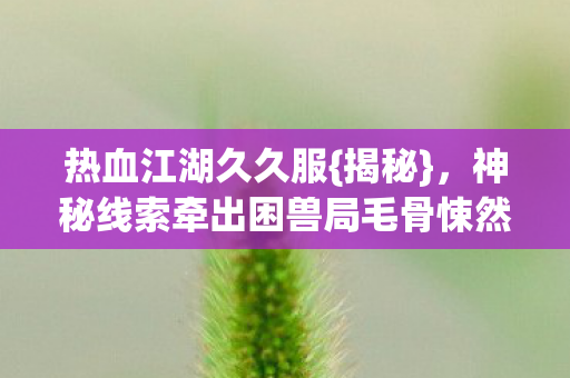 神秘线索牵出困兽局毛骨悚然图片