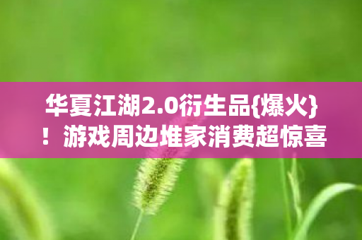 游戏周边堆家消费超惊喜图片