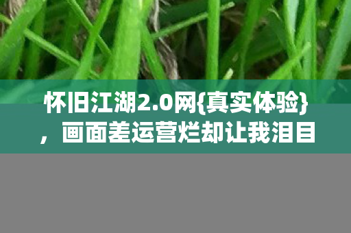 画面差运营烂却让我泪目图片