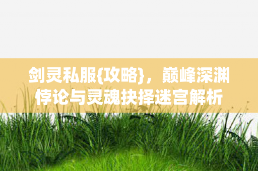 巅峰深渊悖论与灵魂抉择迷宫解析图片