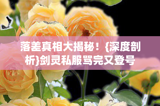 剑灵私服骂完又登号图片