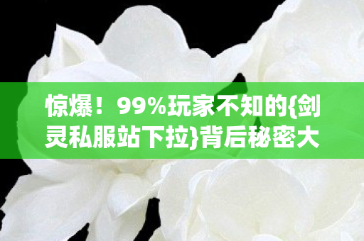 剑灵私服站下拉图片