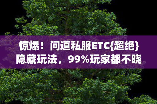 惊爆！问道私服ETC{超绝}隐藏玩法，99%玩家都不晓得！