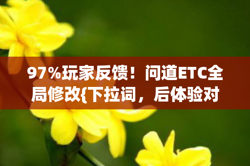 97%玩家反馈!问道ETC全局修改{下拉词,后体验对比}差出天际? 97%玩家反馈!问道ETC全局修改{下拉词,后体验对比}差出天际?