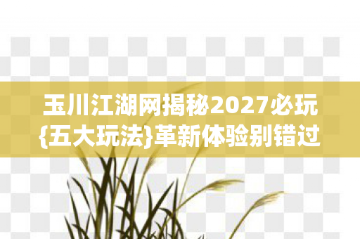 玉川江湖网揭秘2027必玩图片