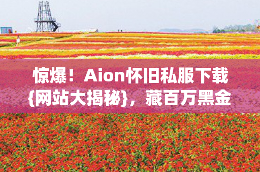 Aion怀旧私服下载图片