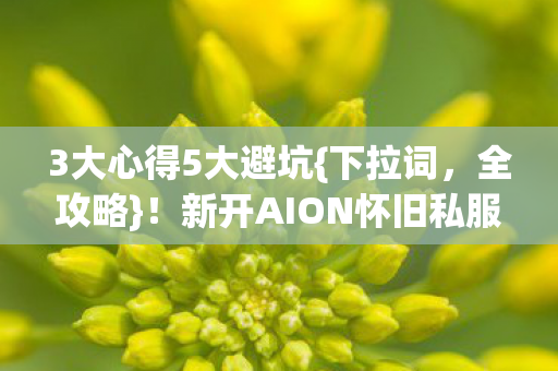新开AION怀旧私服选法图片
