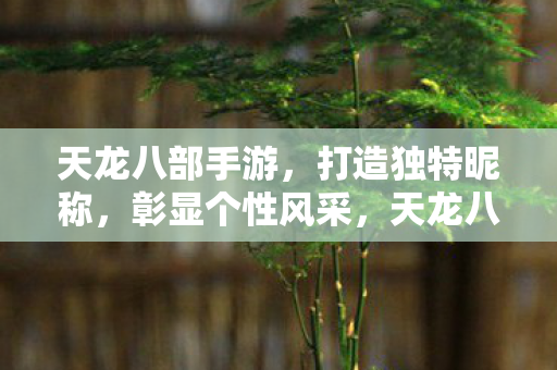 天龙八部手游,打造独特昵称,彰显个性风采,天龙八部手游打造独特昵称,彰显个性风采 天龙八部手游,打造独特昵称,彰显个性风采,天龙八部手游打造独特昵称,彰显个性风采