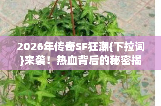 2026年传奇SF狂潮{下拉词}来袭!热血背后的秘密揭秘 2026年传奇SF狂潮{下拉词}来袭!热血背后的秘密揭秘