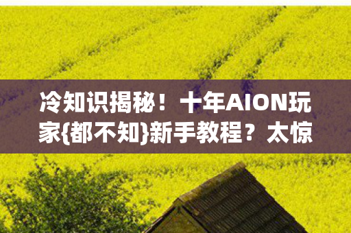 十年AION玩家图片