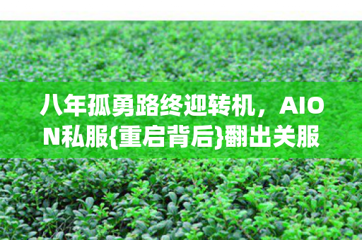 八年孤勇路终迎转机图片