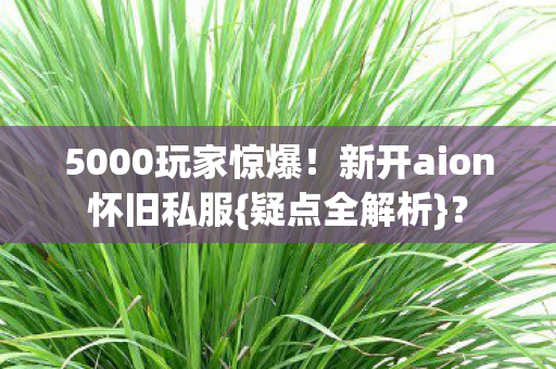 新开aion怀旧私服图片