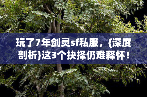 玩了7年剑灵sf私服图片