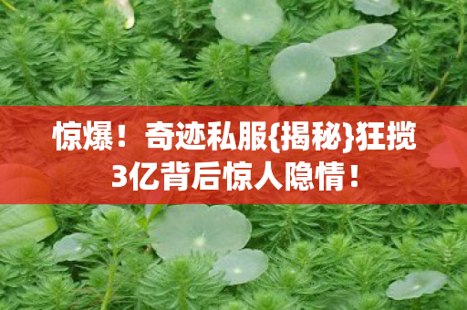 狂揽3亿背后惊人隐情图片