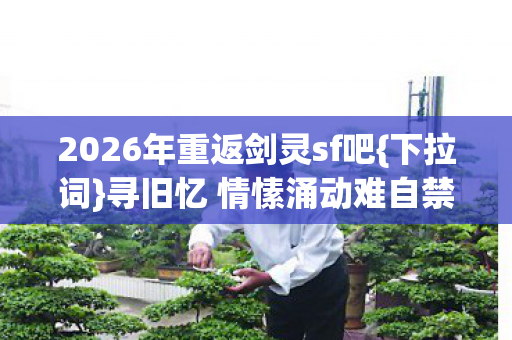 2026年重返剑灵sf吧图片