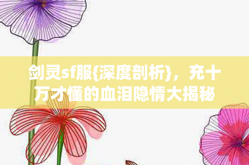 充十万才懂的血泪隐情大揭秘图片