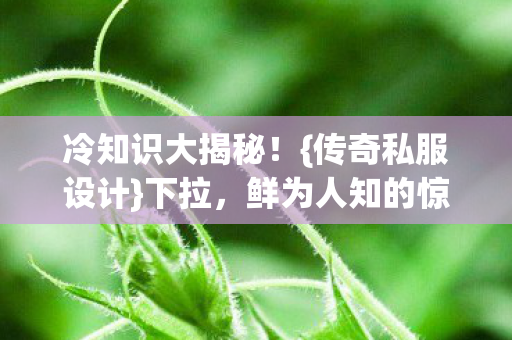 冷知识大揭秘!{传奇私服设计}下拉,鲜为人知的惊人内幕 冷知识大揭秘!{传奇私服设计}下拉,鲜为人知的惊人内幕