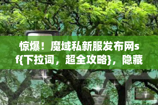 魔域私新服发布网sf图片