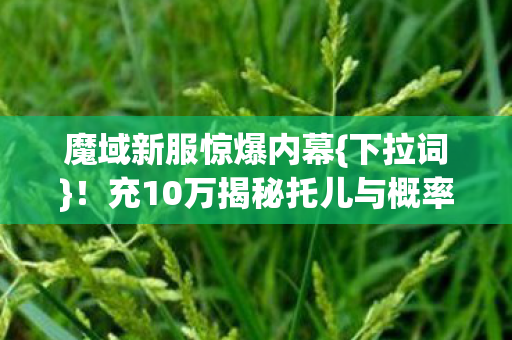 充10万揭秘托儿与概率暗改图片