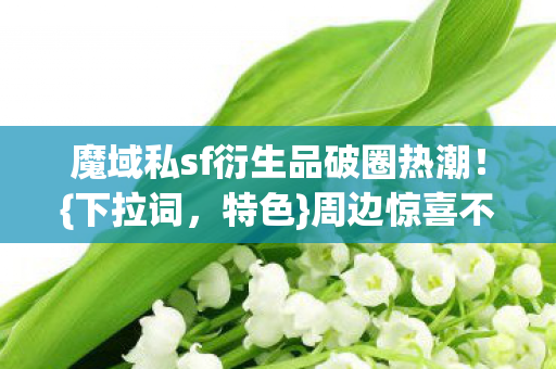 魔域私sf衍生品破圈热潮图片
