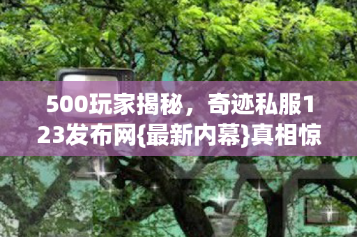 奇迹私服123发布网图片