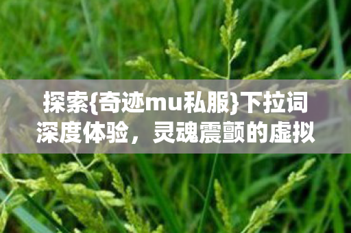 灵魂震颤的虚拟之旅图片