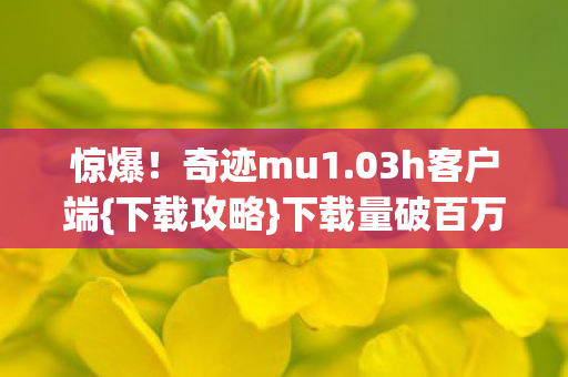 下载量破百万的秘密图片