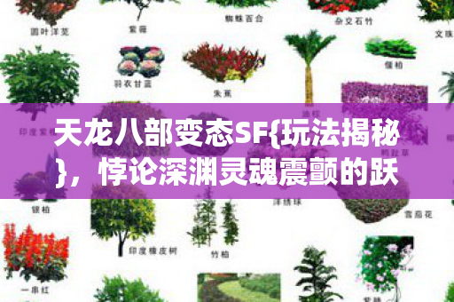 天龙八部变态SF{玩法揭秘},悖论深渊灵魂震颤的跃迁 天龙八部变态SF{玩法揭秘},悖论深渊灵魂震颤的跃迁