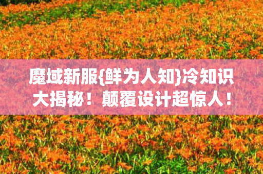 颠覆设计超惊人图片