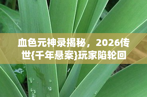 血色元神录揭秘图片